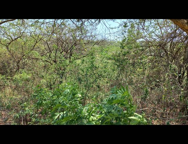 1HA SMALLHOLDING FOR SALE IN NELSPRUIT RURAL